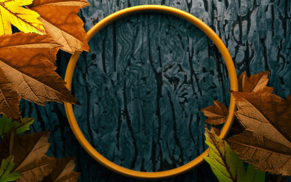 Blank Space Hello Autumn Leaf: A Design Evaluation